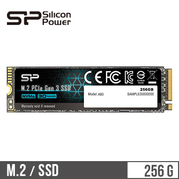SP廣穎 256GB M.2 PCIe固態硬碟