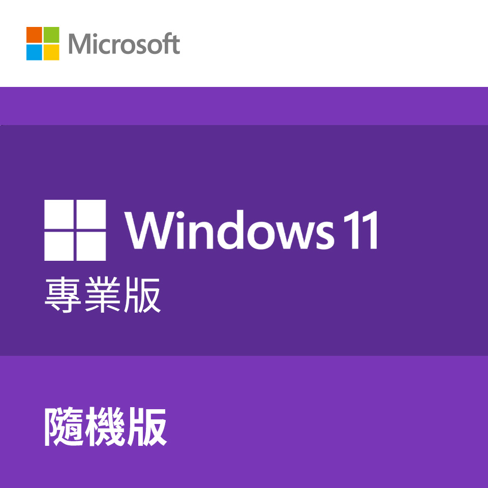 Windows 11 繁中專業64位元隨機版