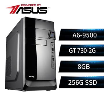 華碩平台[碧峰鬥士]A6雙核獨顯SSD電腦(A6-9500/A320M/8G/GT730/256G)