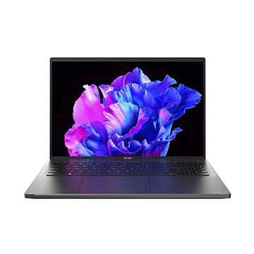 ACER Swift GO 筆記型電腦 灰(硬碟升級)(i5-13500H/16G/512G+1T/W11)
