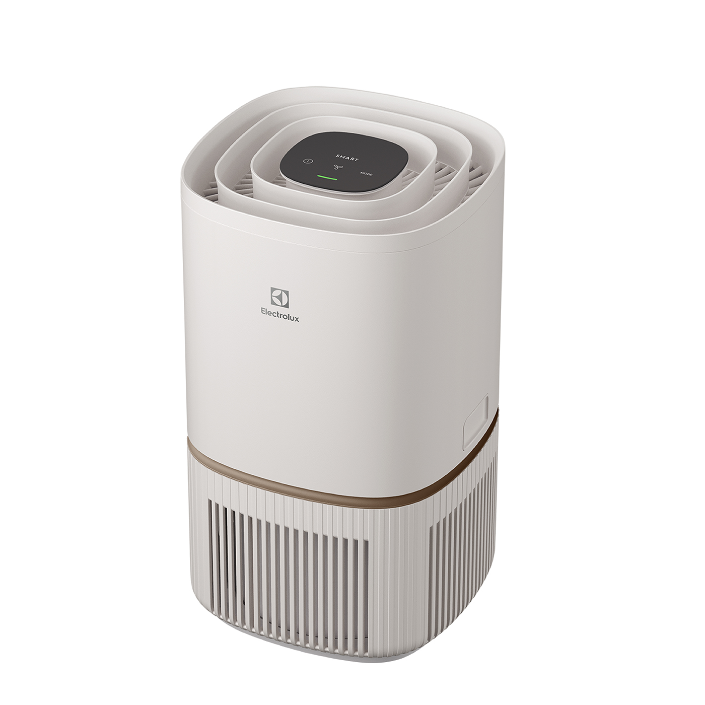Electrolux 極適家居300抗敏空氣清淨機