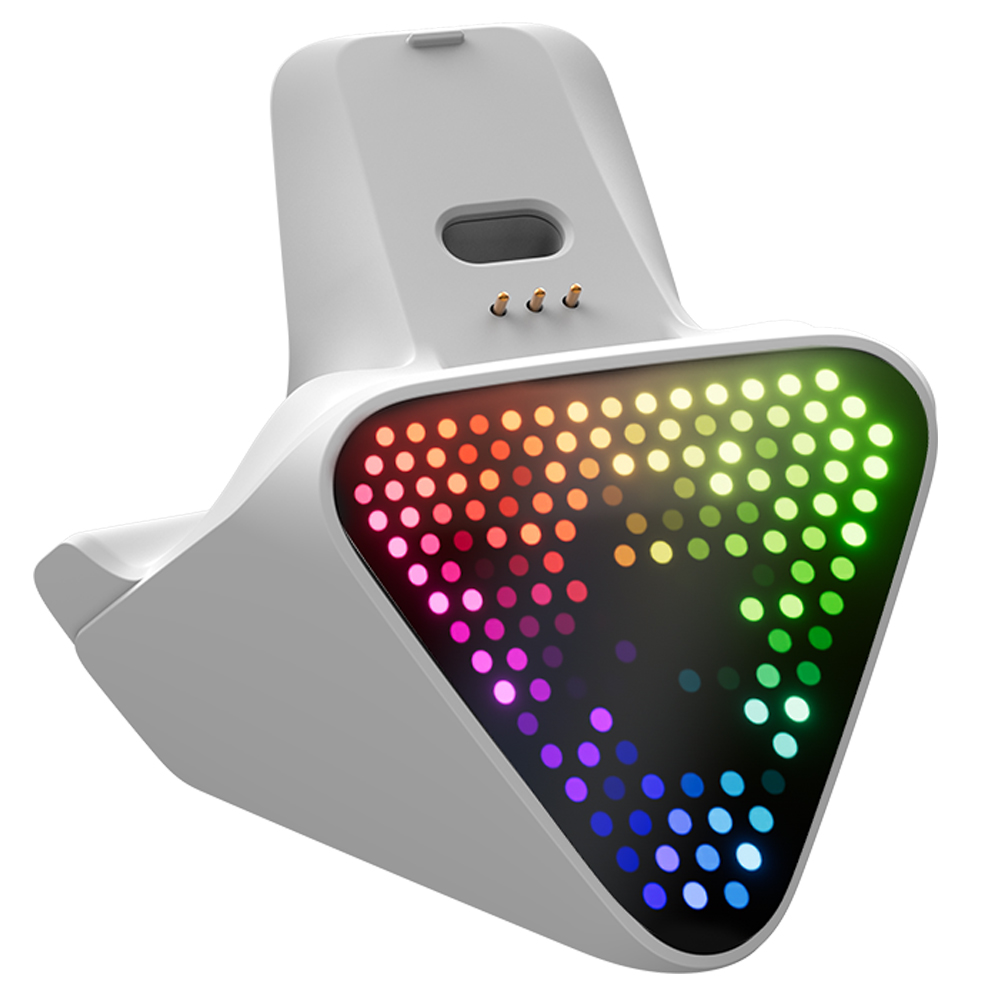 Flydigi 飛智手把充電底座2 Pro-白