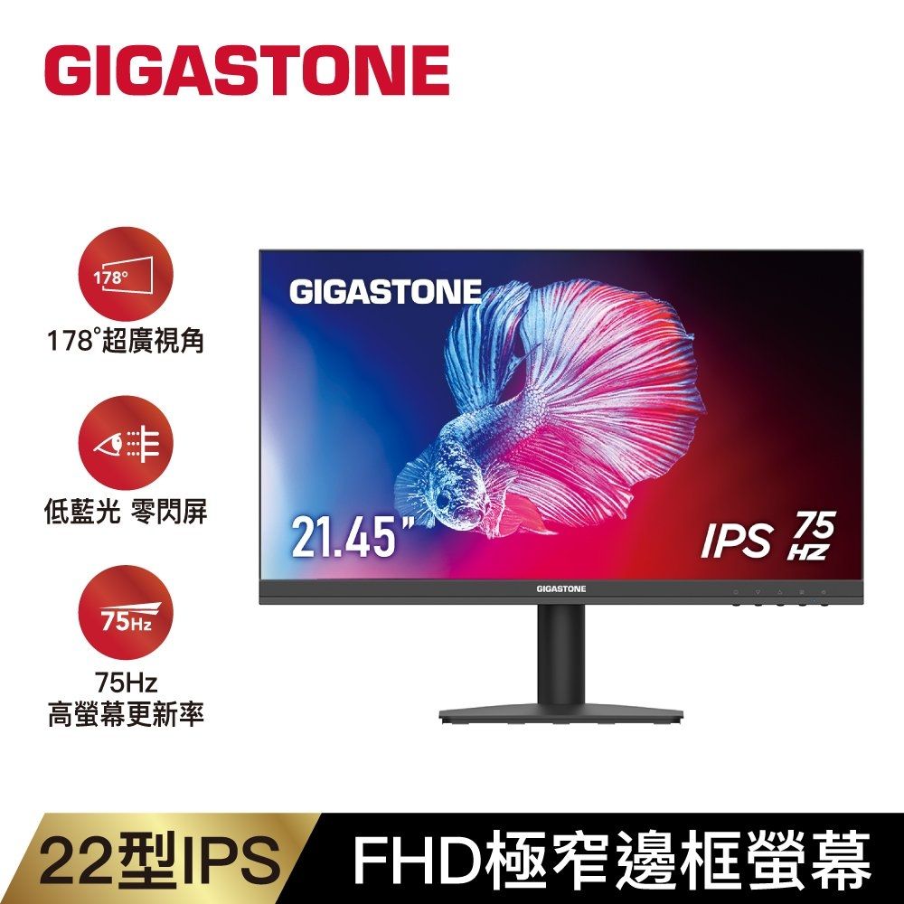 Gigastone 22型 IPS FHD 極窄邊框螢幕 (75Hz/1920x1080)