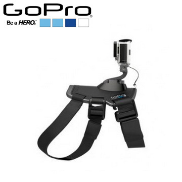 GoPro 寵物專屬綁帶