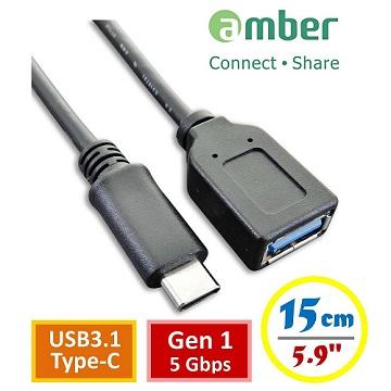 amber USB3.1 type C 公轉 USB 3.1母轉接線