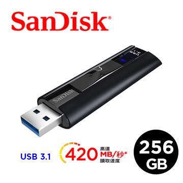 SanDisk晟碟 256GB 隨身碟 420MB/S