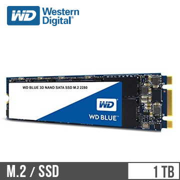 WD威騰 3D NAND 1TB M.2 固態硬碟 藍標