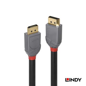 LINDY DisplayPort 1.4版公to公-2米
