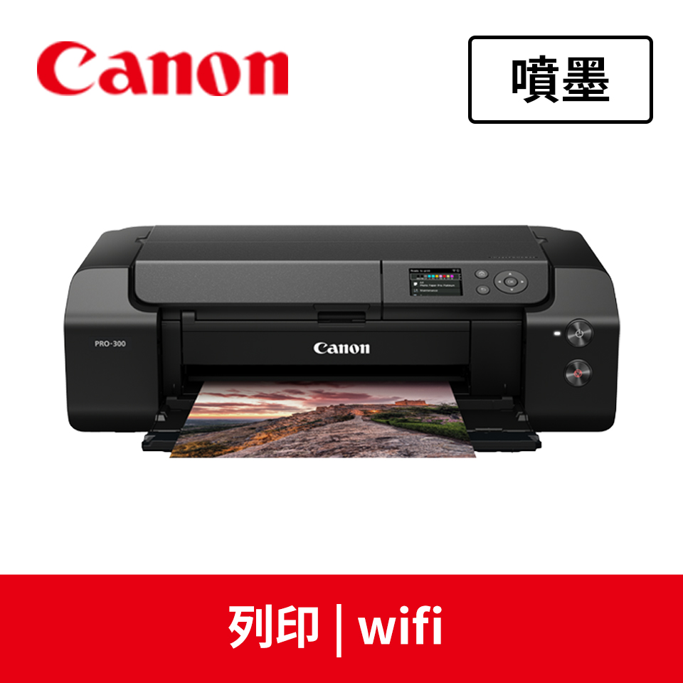 佳能Canon PRO-300專業相片印表機