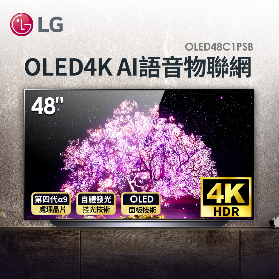 (展示品) LG 48型OLED 4K AI語音物聯網電視