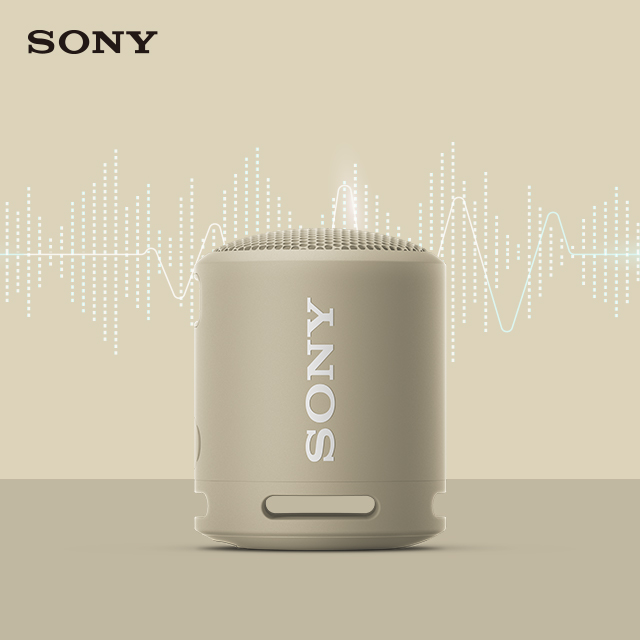 索尼SONY 藍牙喇叭-灰褐