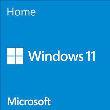 Windows 11 Home 中文家用版盒裝 USB