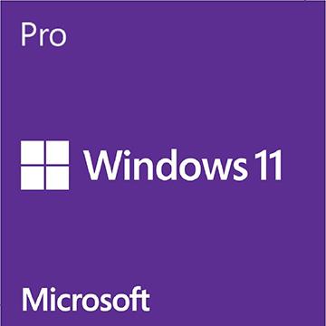 Windows 11 Pro 中文專業版盒裝 USB