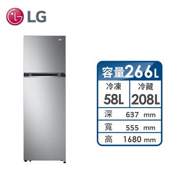 LG 266公升直驅雙門變頻冰箱