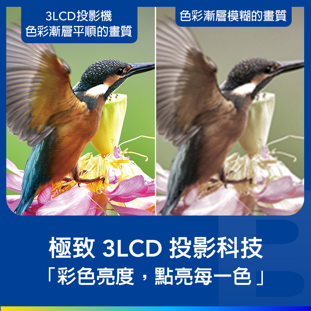 愛普生 EPSON CO-FH01 FHD高亮彩3LCD智慧投影機 - 細節圖 2