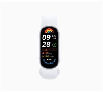 Xiaomi 手環 9 NFC 冰川銀