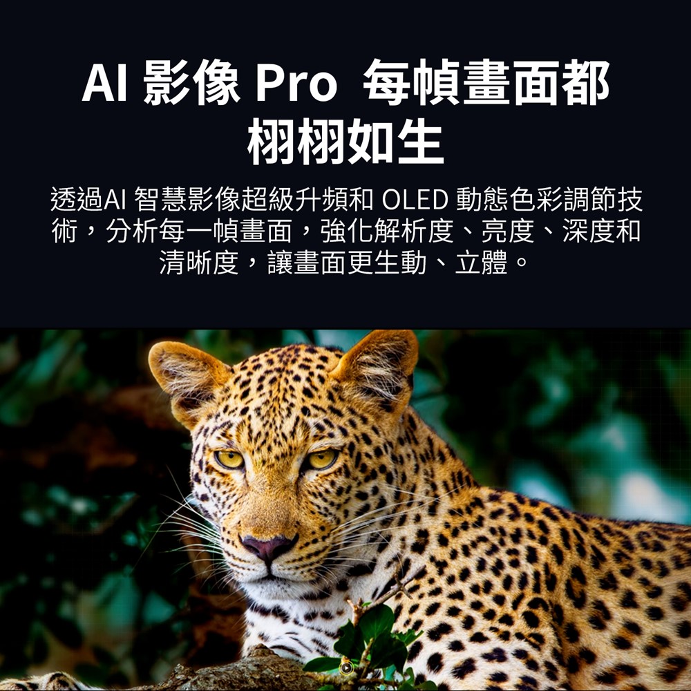 LG 55型OLED evo 零間隙藝廊顯示器 - 細節圖 4