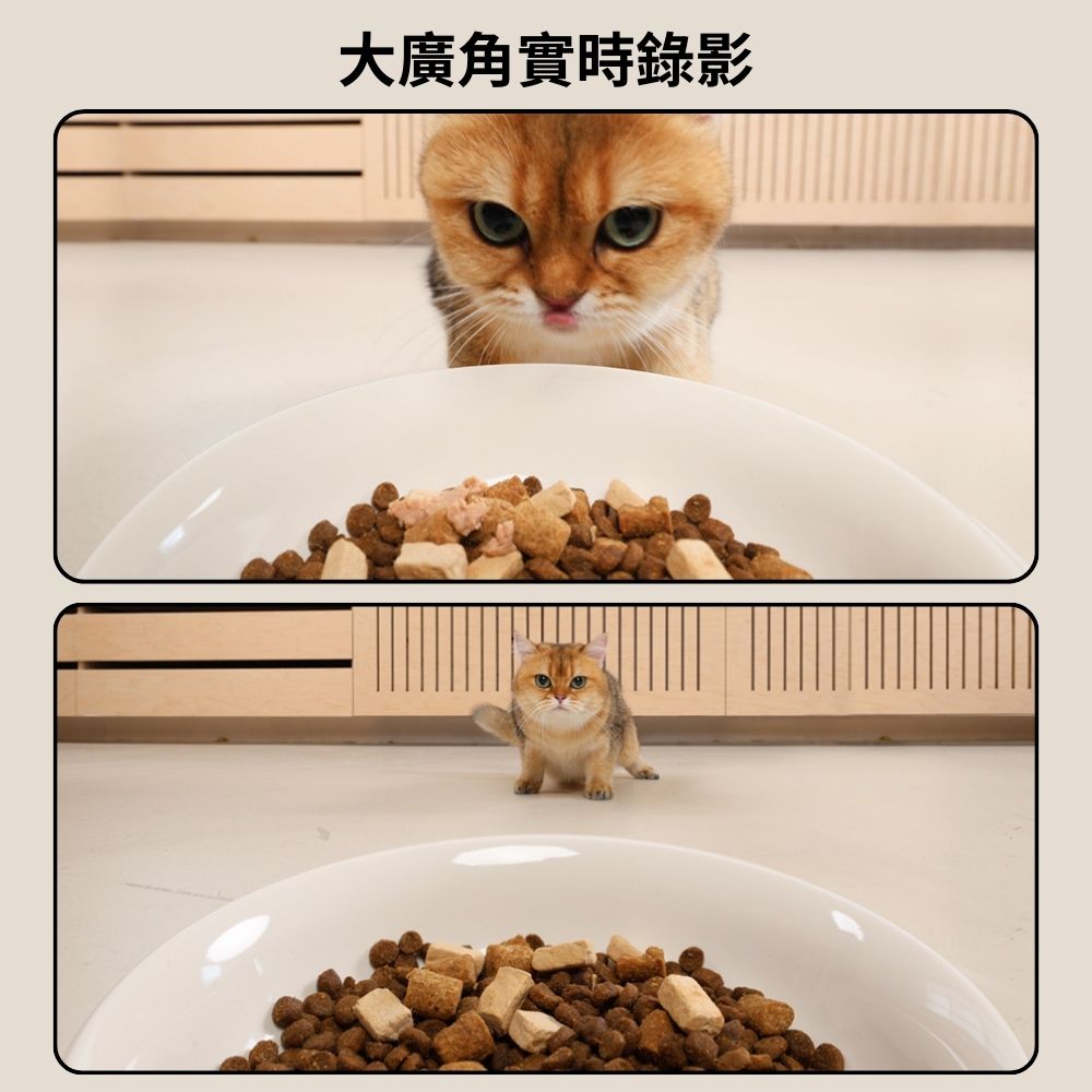 meoof 蛋捲餵食器 - 視訊版 獨享碗 - 細節圖 1