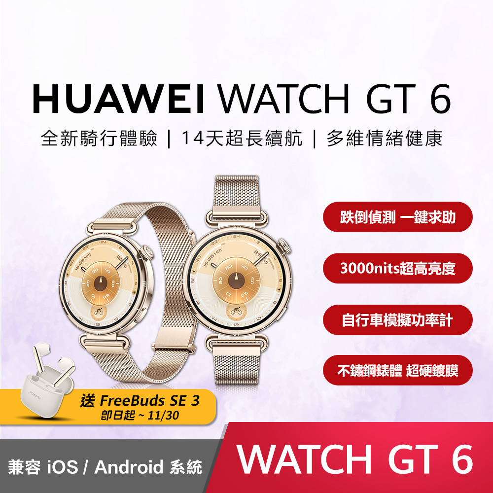 HUAWEI GT6 41mm 米蘭尼斯錶帶-金色