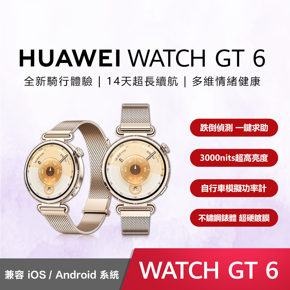HUAWEI GT6 41mm 米蘭尼斯錶帶-金色