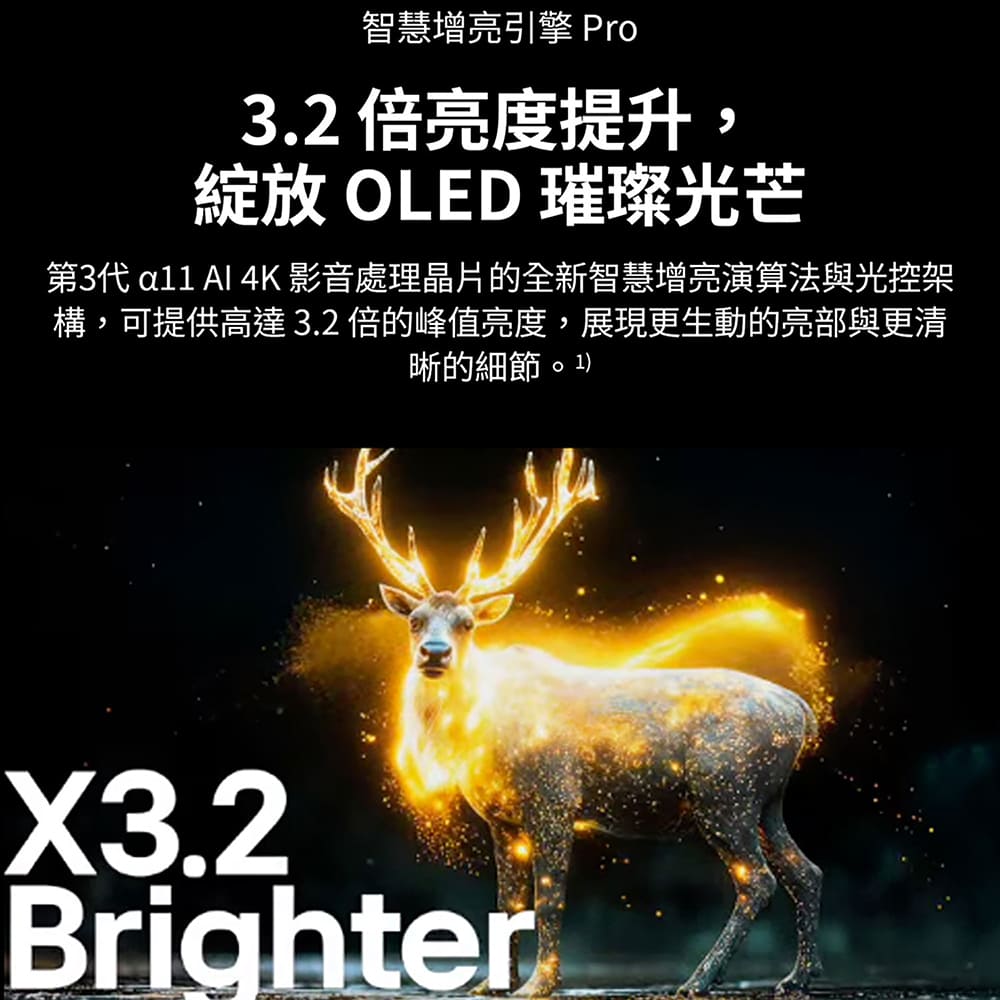 LG 77型旗艦影音OLED evo顯示器 - 細節圖 2