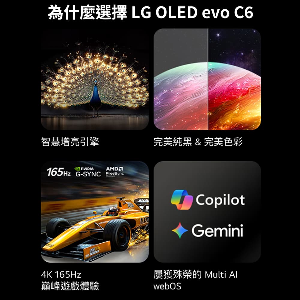 LG 65型旗艦影音OLED evo顯示器 - 細節圖 1