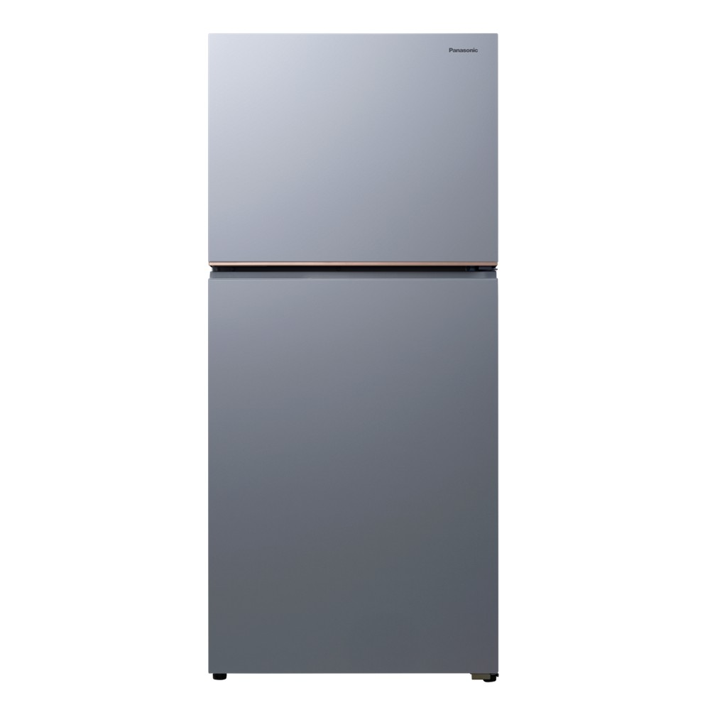 國際牌 Panasonic 650公升雙門變頻冰箱