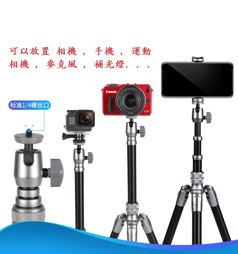 圖片介紹 圖片介紹