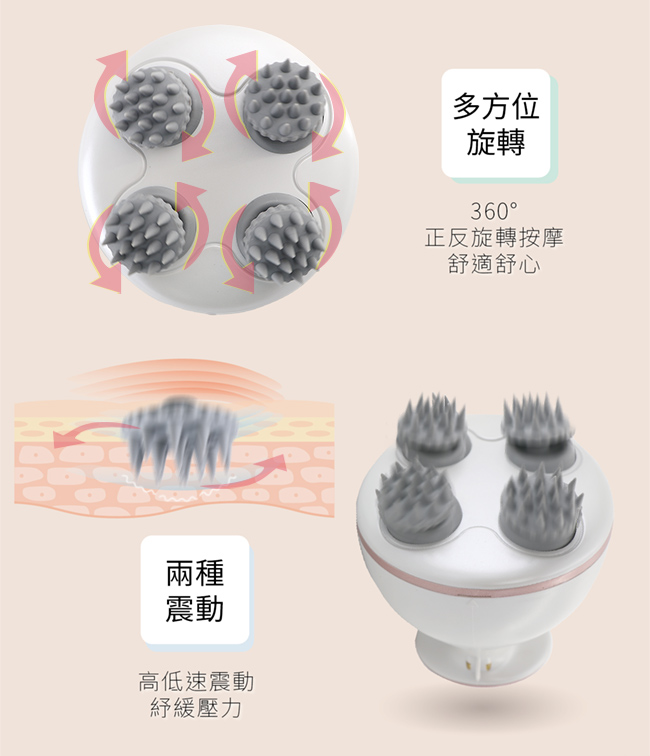 圖片介紹 圖片介紹