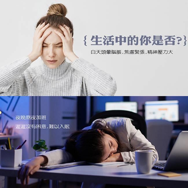 圖片介紹 圖片介紹