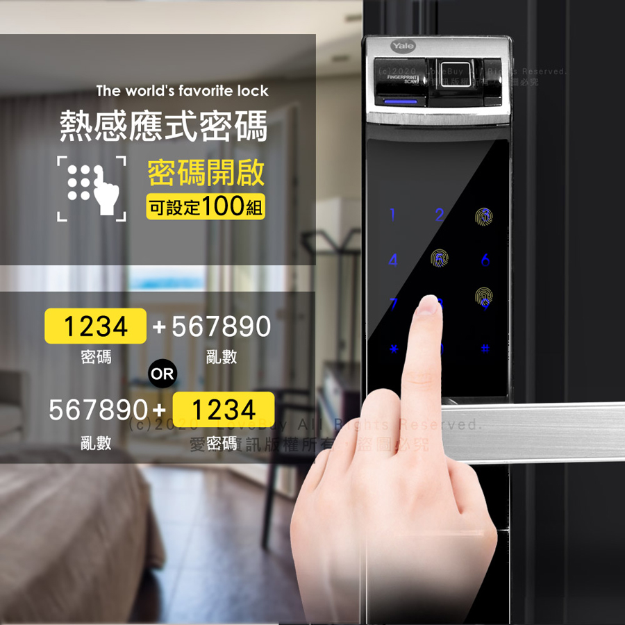 圖片介紹 圖片介紹