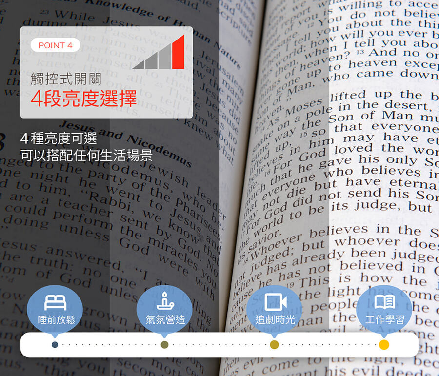 圖片介紹 圖片介紹