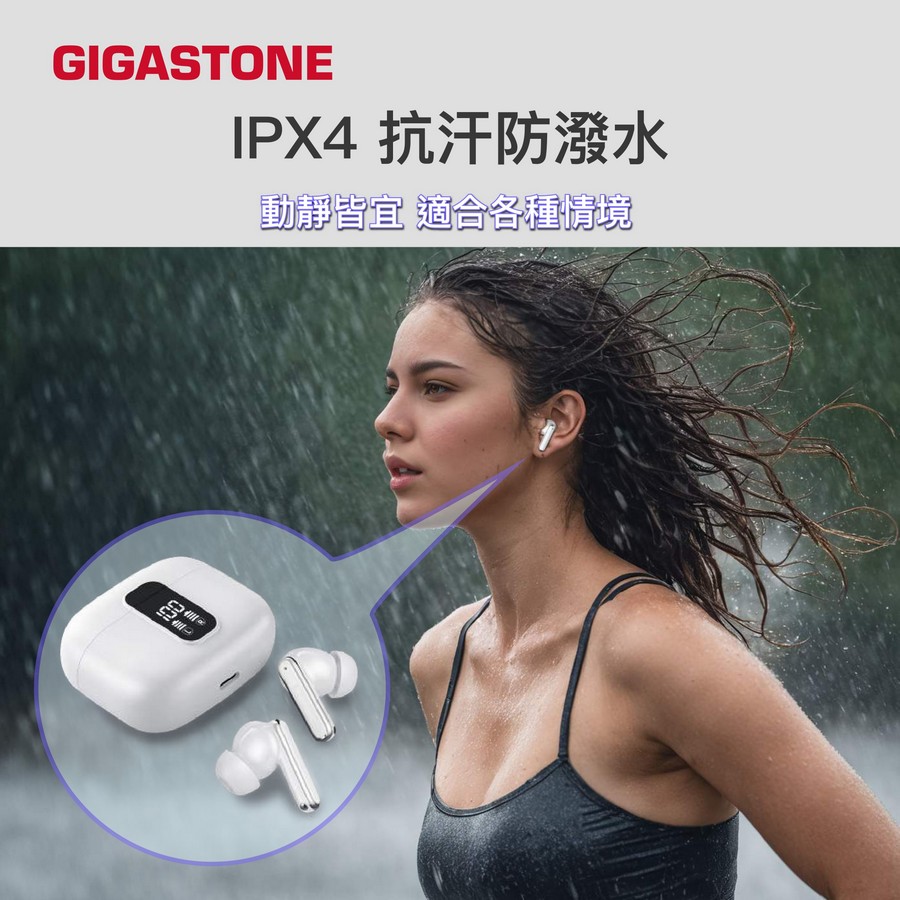 圖片介紹 圖片介紹