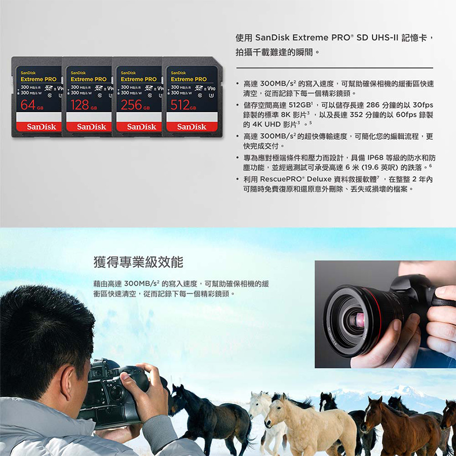 圖片介紹 圖片介紹