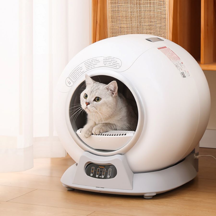 圖片介紹 圖片介紹