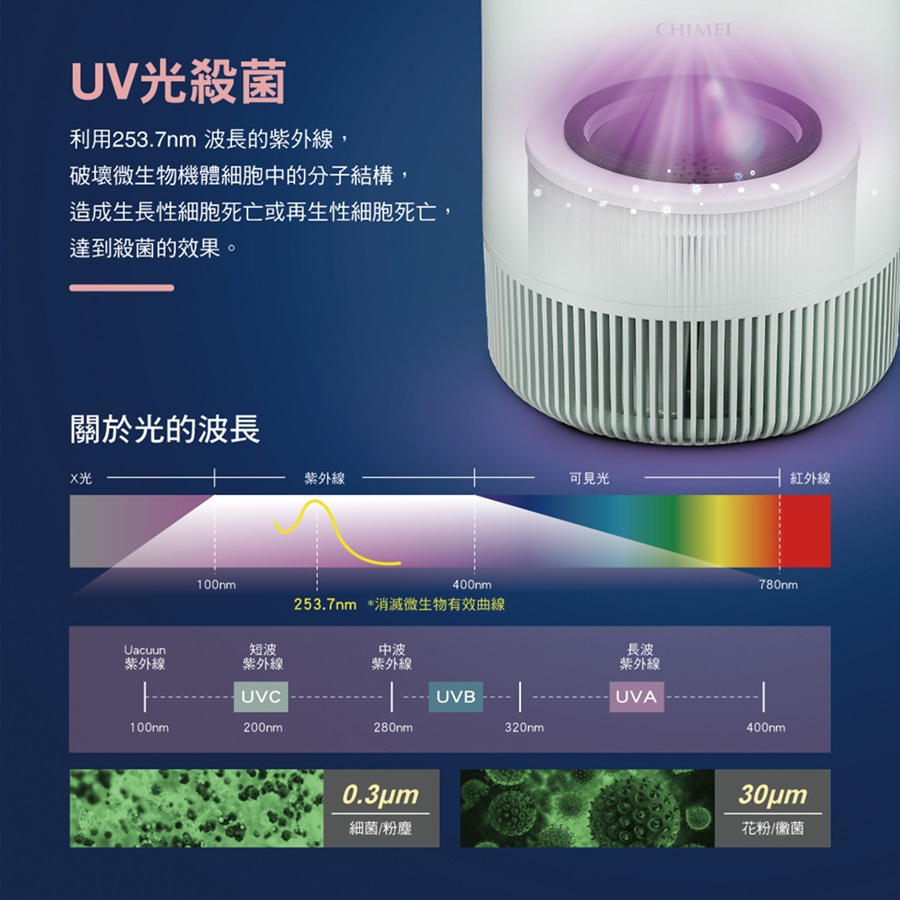 圖片介紹 圖片介紹