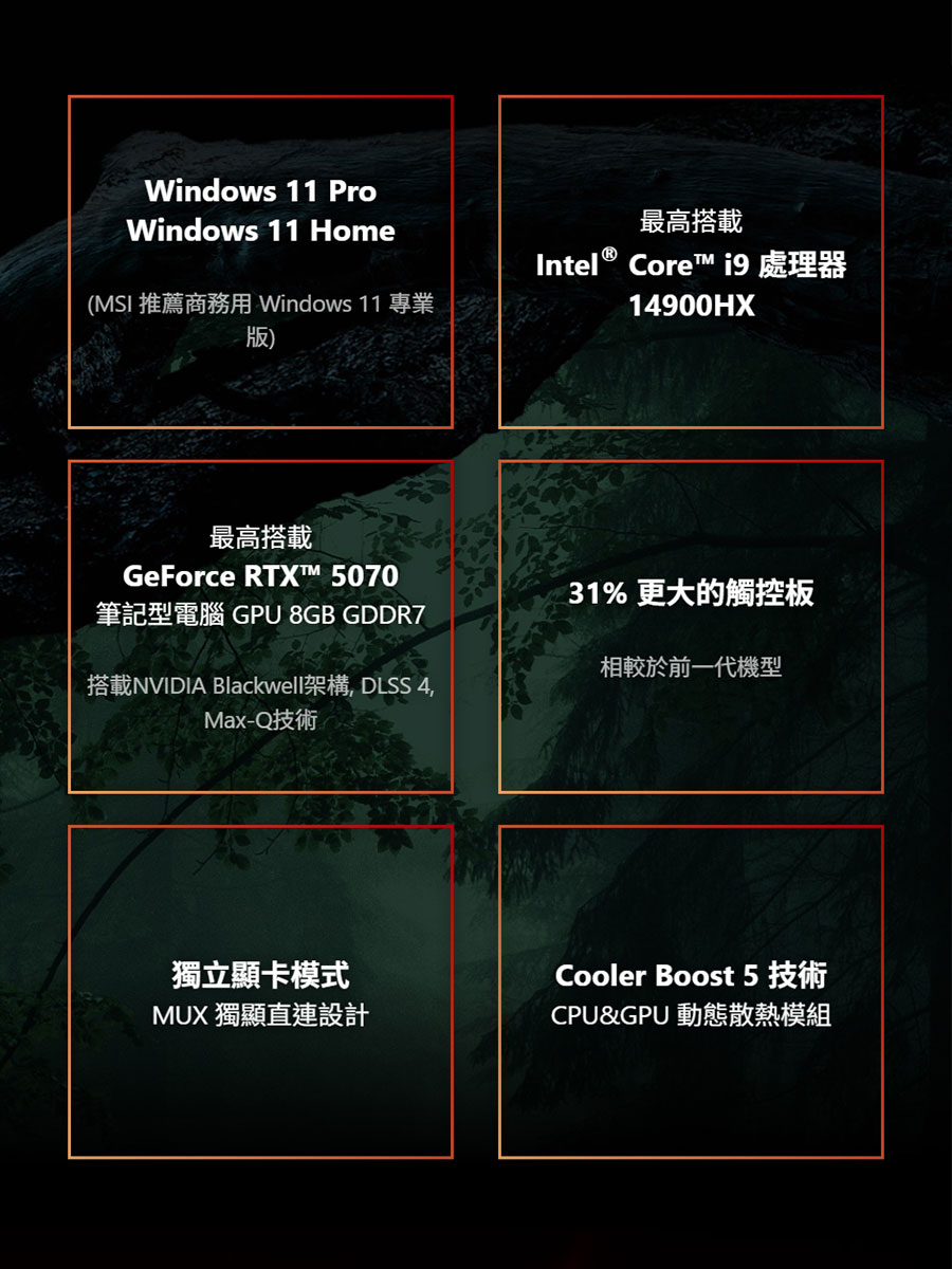 圖片介紹 圖片介紹