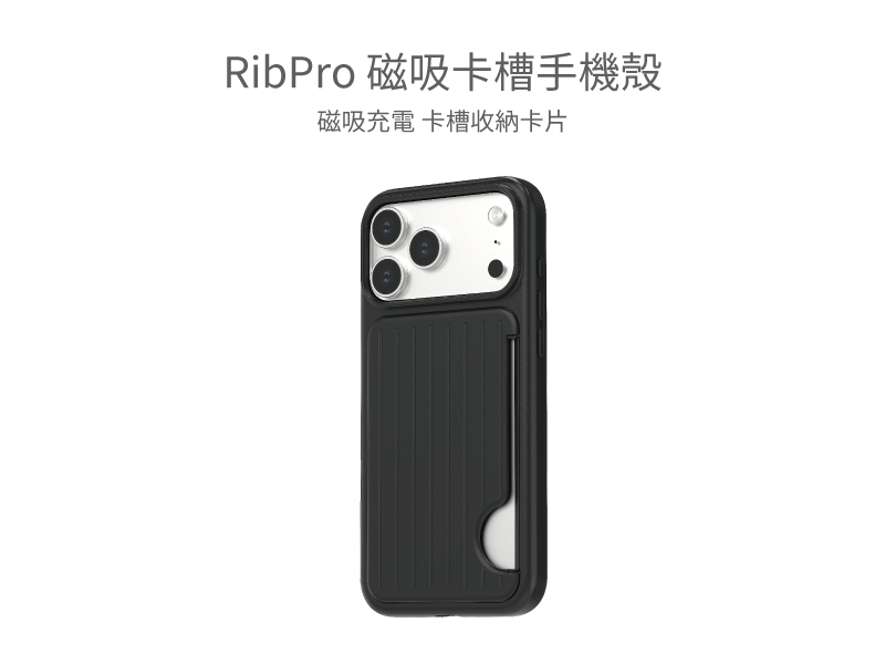 圖片介紹 圖片介紹