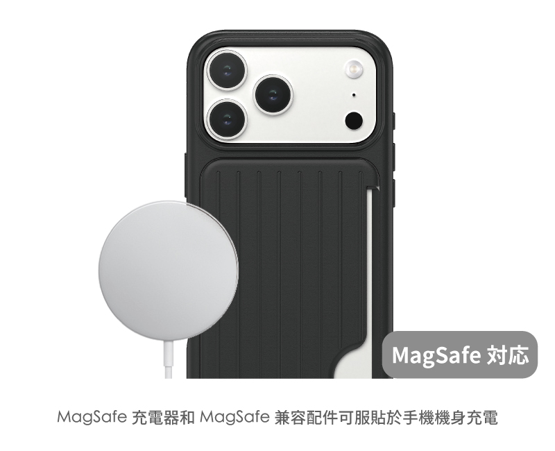 圖片介紹 圖片介紹