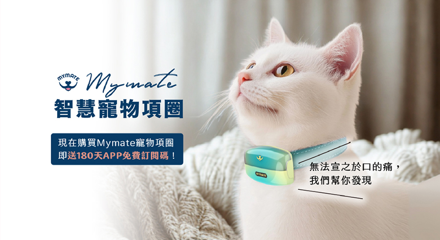 圖片介紹 圖片介紹