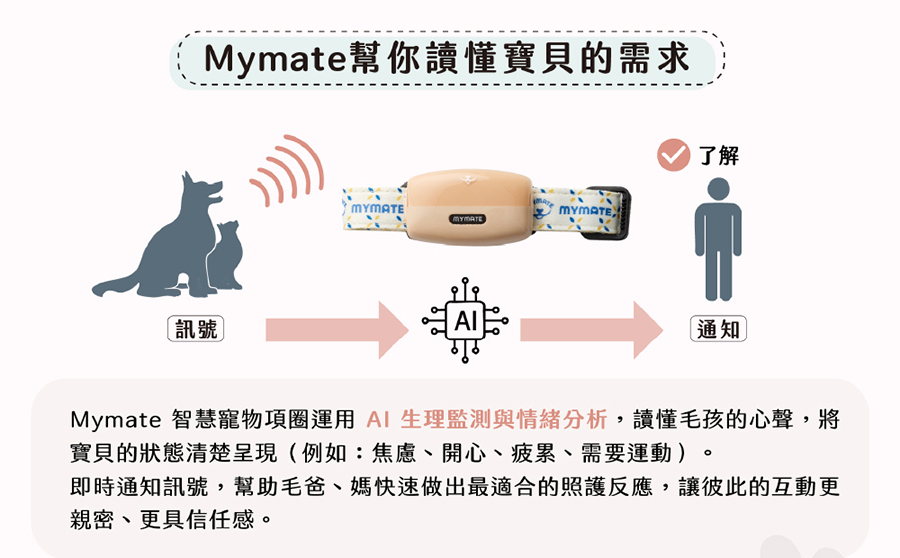 圖片介紹 圖片介紹