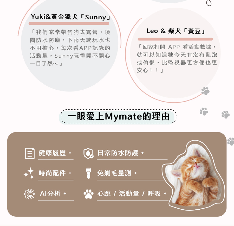 圖片介紹 圖片介紹