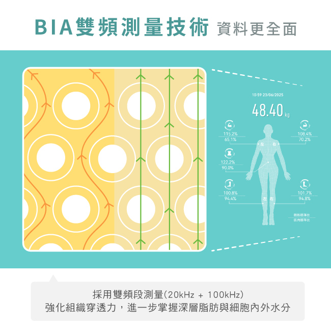 圖片介紹 圖片介紹