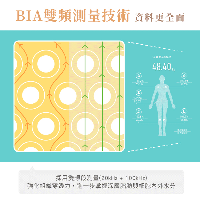 圖片介紹 圖片介紹