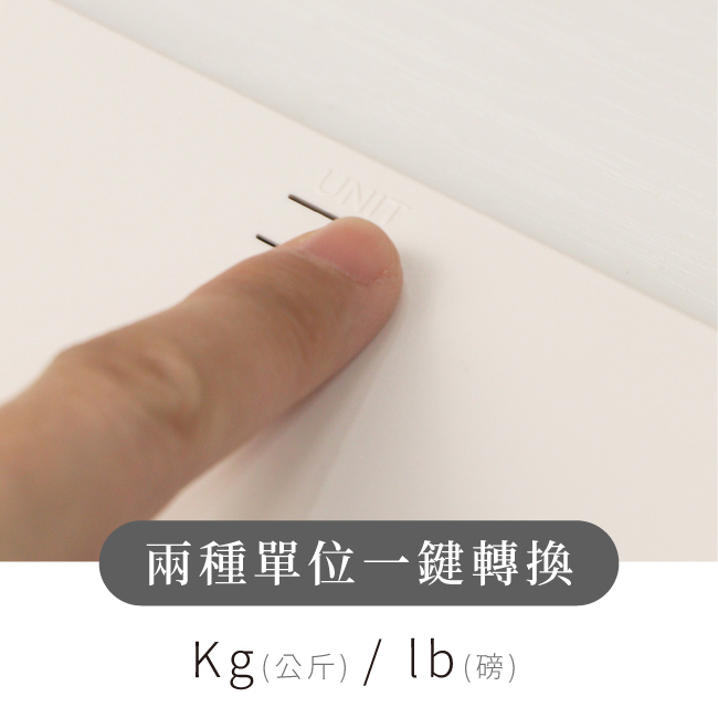 圖片介紹 圖片介紹