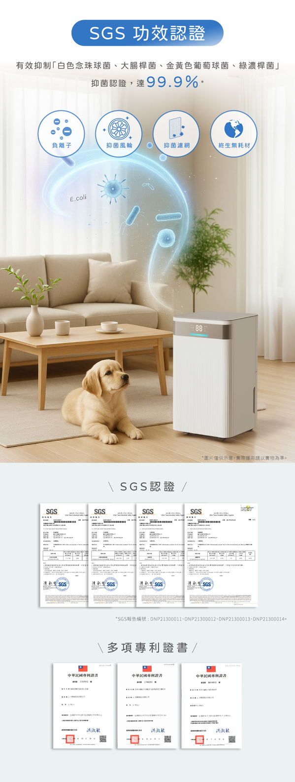 圖片介紹 圖片介紹