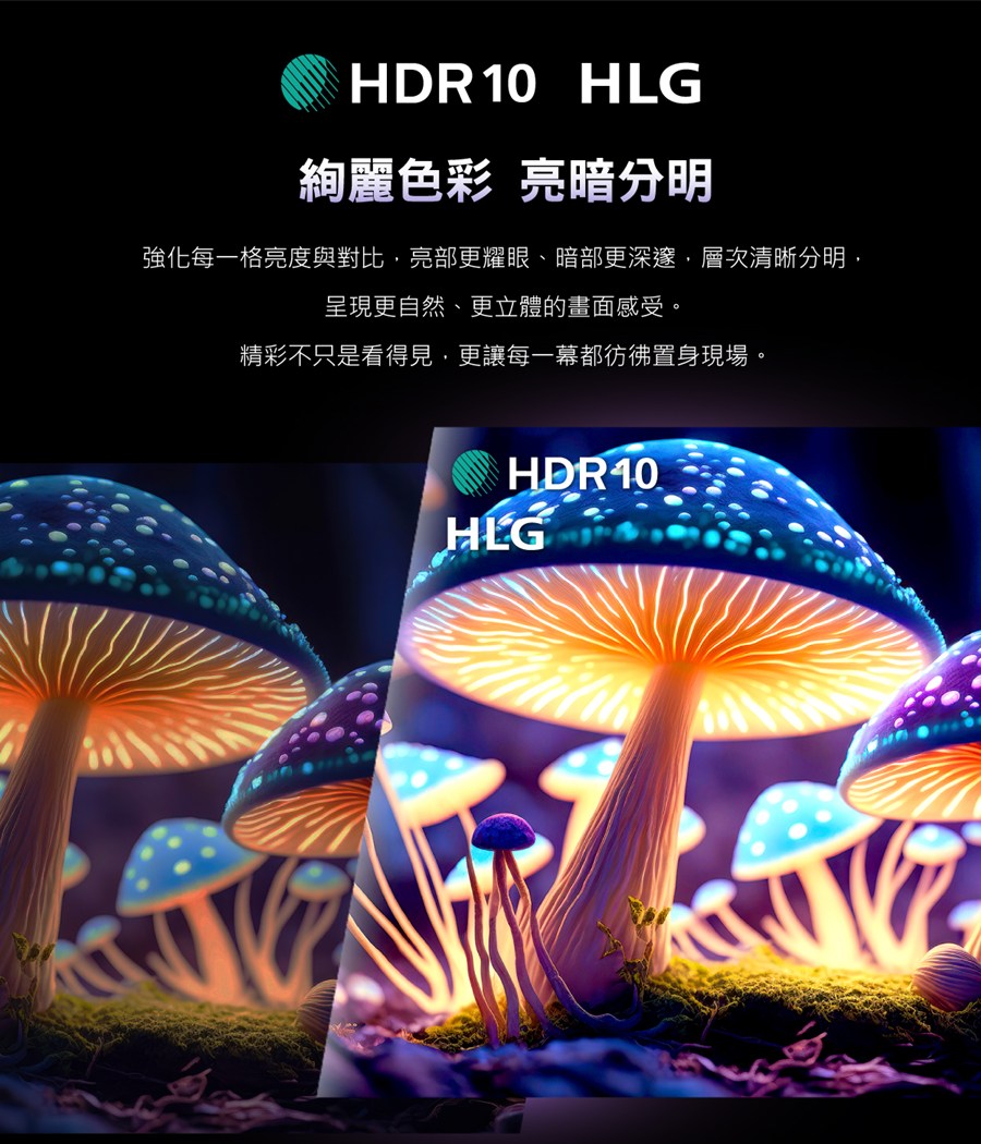 圖片介紹 圖片介紹