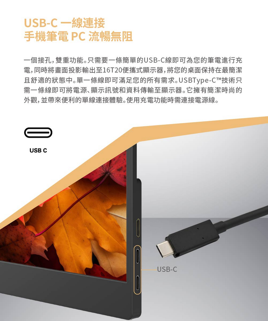 圖片介紹 圖片介紹