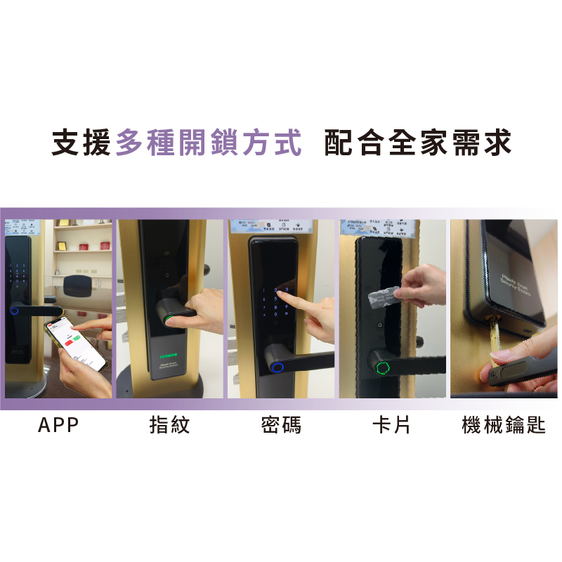 圖片介紹 圖片介紹