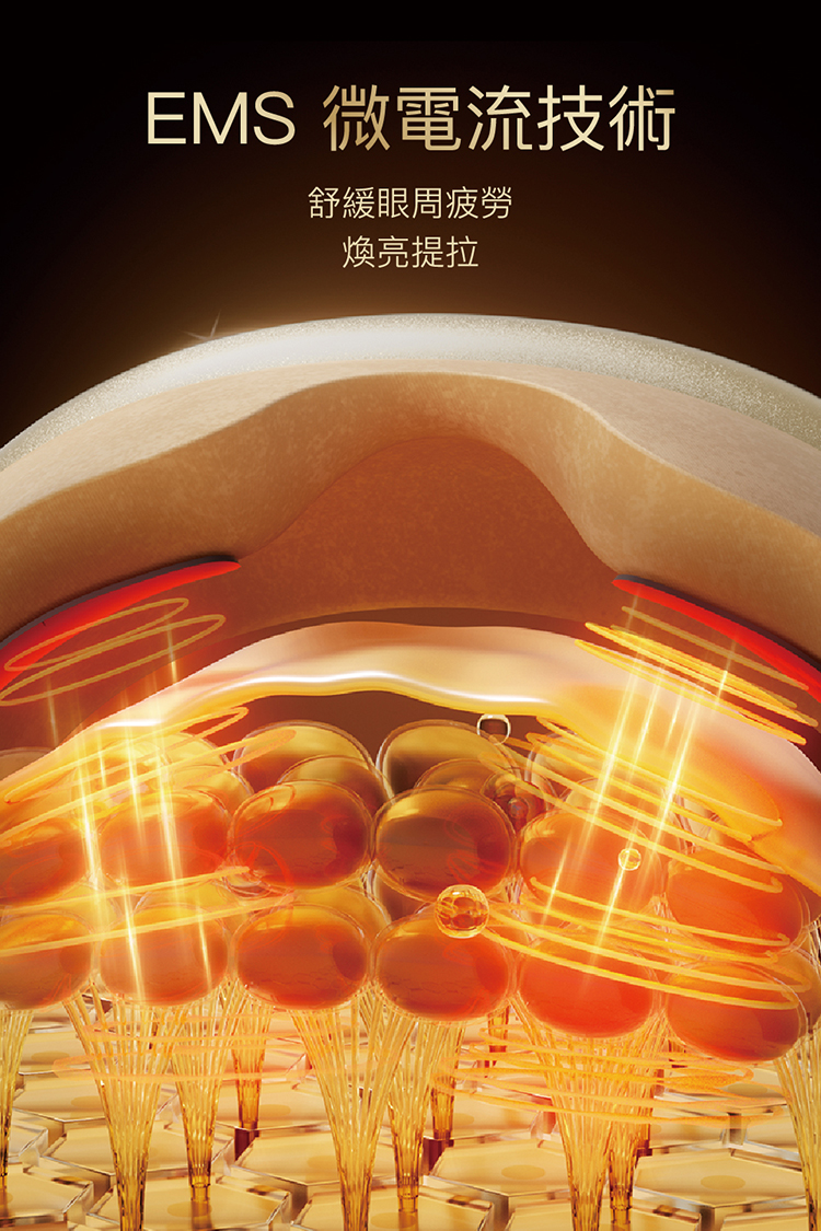 圖片介紹 圖片介紹